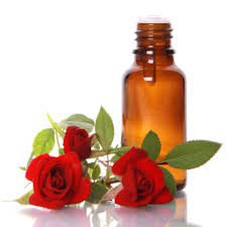 Tinh dầu thơm xông phòng hương Hoa Hồng nguyên chất lọ 50ml
