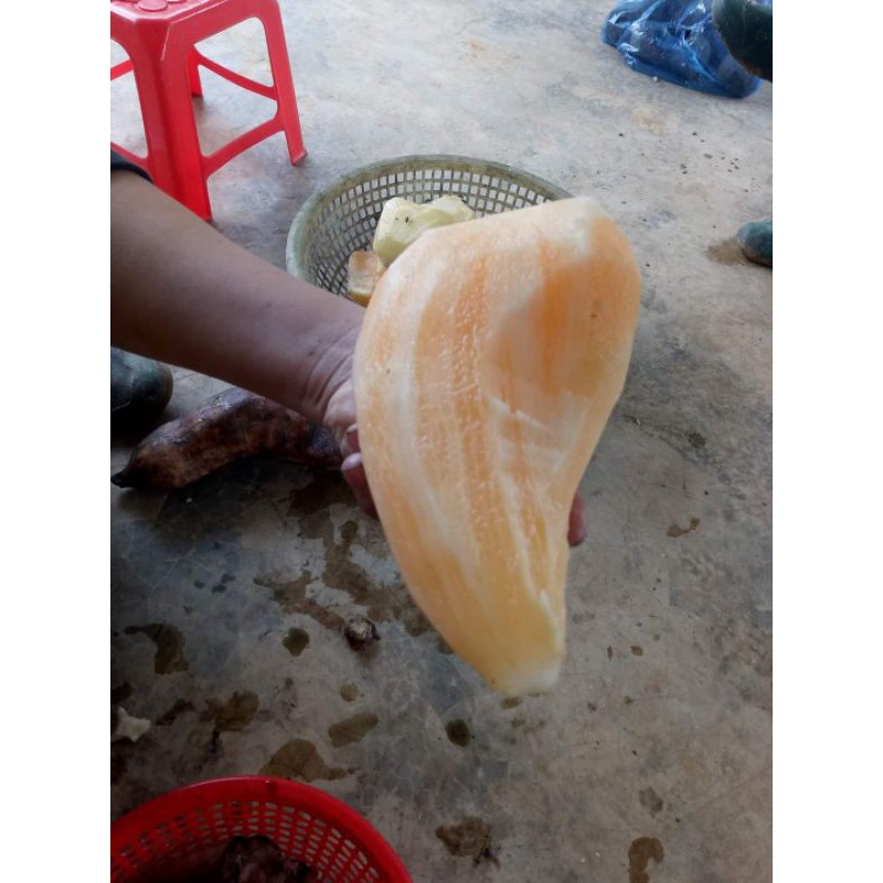 củ sâm đất 1kg