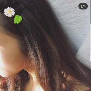 set 3 kẹp hoa cúc