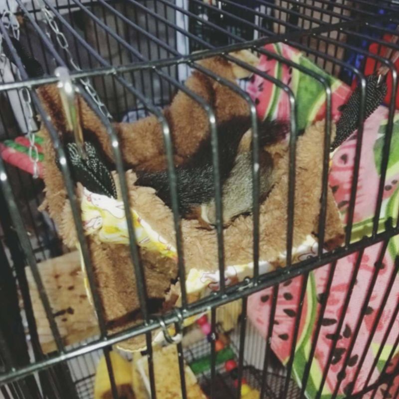 Võng Treo Hai Lớp Bằng Vải Bông Mềm Ấm Áp Mùa Đông Cho Chuột Hamster / Sóc / Hamster