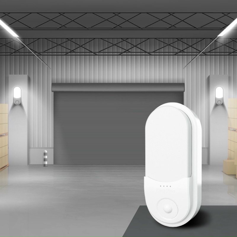 Đèn LED gắn tường cảm biến Rạng Đông