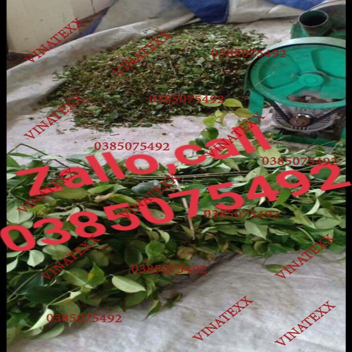 Máy cắt máy thái thuốc bắc thuốc nam thành lát mỏng