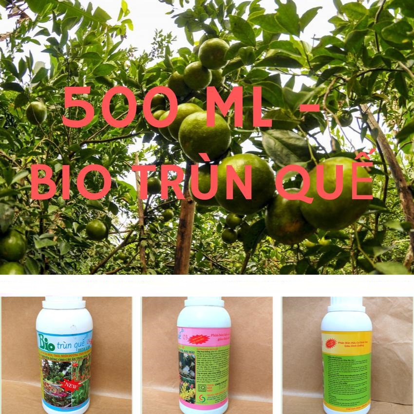 Dịch trùn quế hữu cơ - BIO trùn quế 01 03 04_500ml