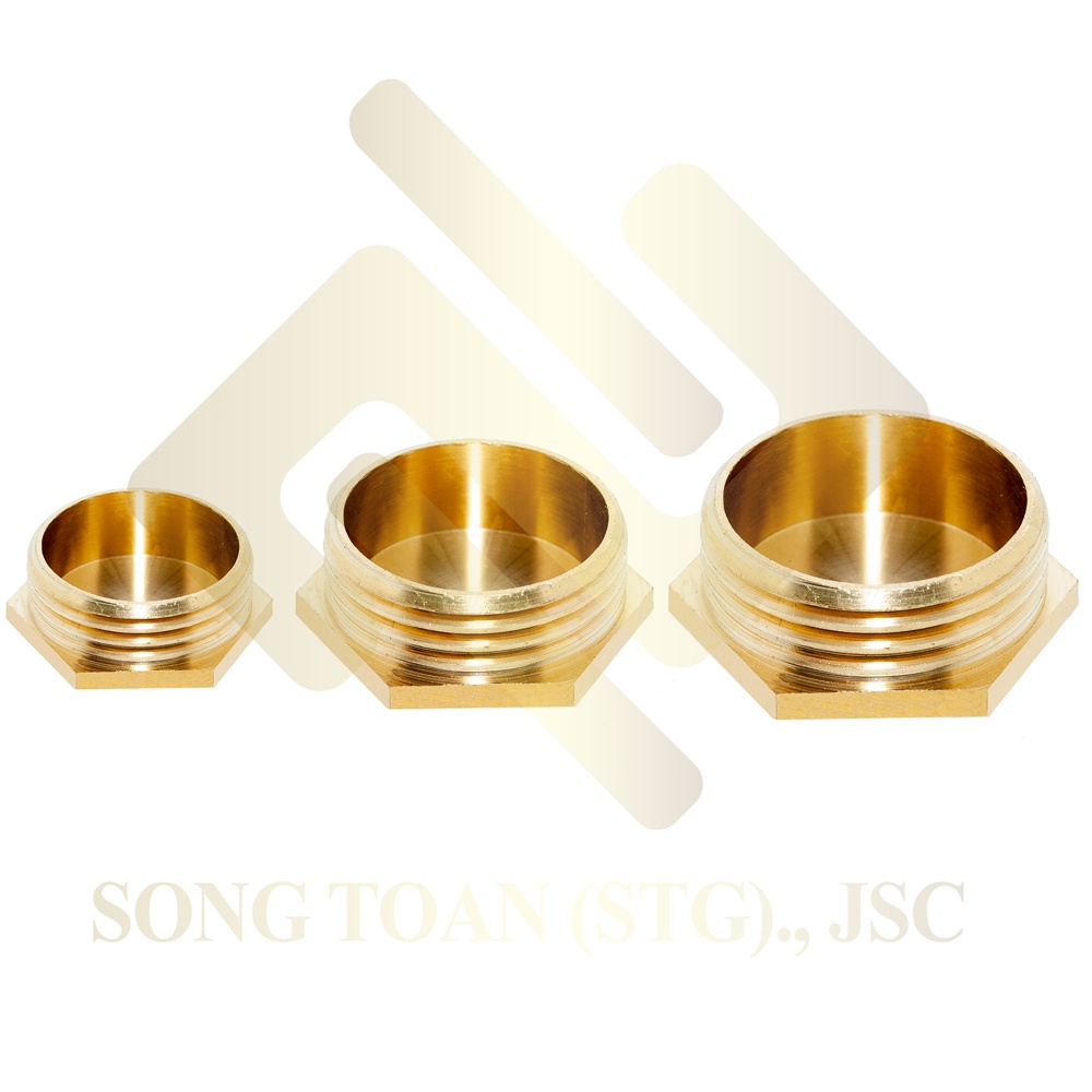 [BỊT REN NGOÀI] Nút đầu bịt ren ngoài ngặn chặn dòng chảy khí nén ren BSP - Bằng đồng (Brass pipe fitting plug cap male)