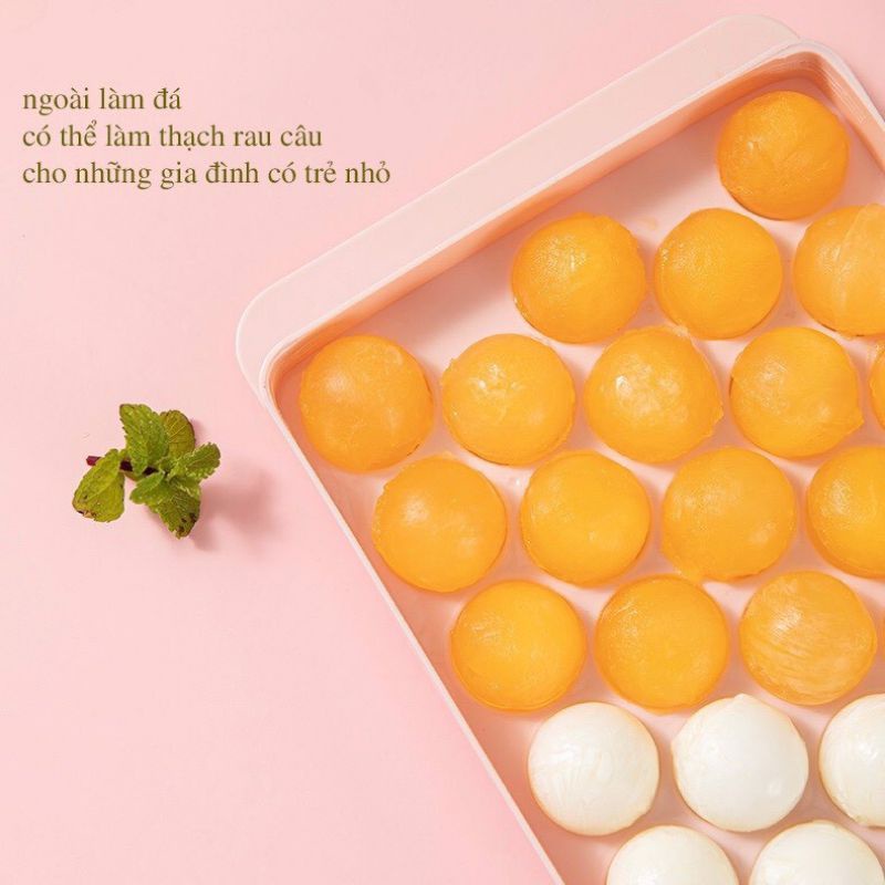 Khay / Vỉ / Khuôn đá tròn thạch 33 viên đa năng