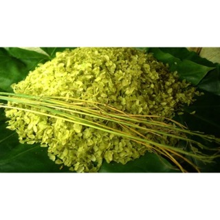 Cốm mộc hút chân không