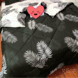 Bộ Drap & Chăn Phao Cotton Poly Lá Me Đen
