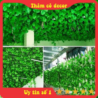 Dây leo, lá nho, trầu bà, thường xuân, rau má, ... dây leo giả trang trí tường nhà, thảm cỏ nhân tạo, văn phòng, sự kiện