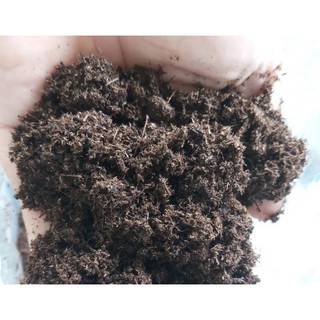 Đất hữu cơ PEAT MAN ( PEAT MOSS) giàu dinh dưỡng