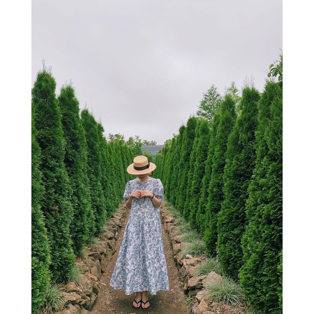 Đầm Suông Cổ Tròn Dáng Dài Váy Suông Hoạ Tiết Thời Trang Thanh Lịch Phong Cách Hàn Quốc