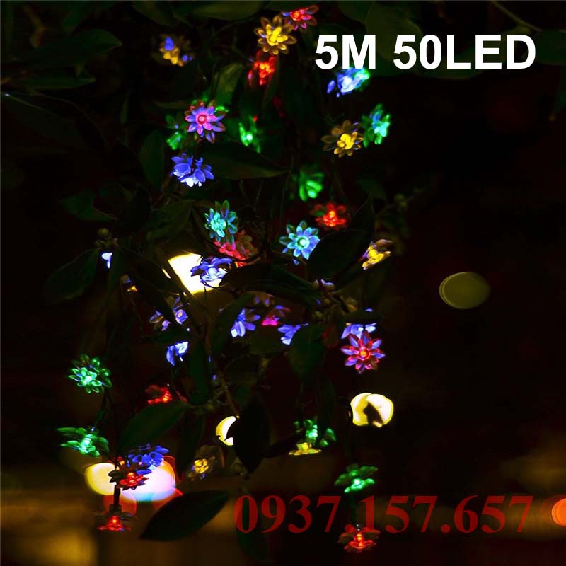 Đèn LED dây năng lượng mặt trời hình hoa mai 5M 50LED