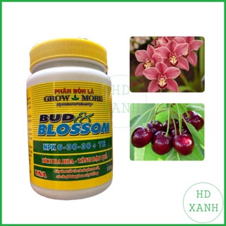 Phân bón lá Growmore 6-30-30 chai 100g