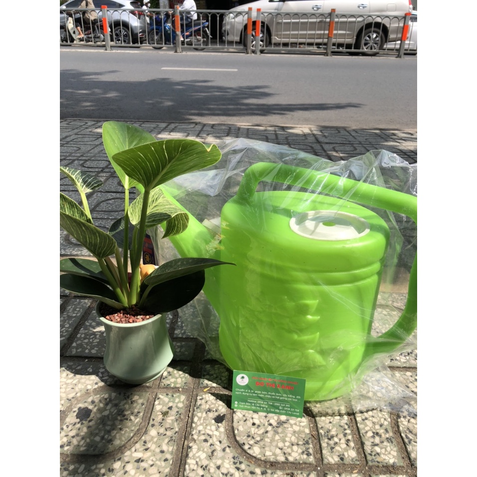 BÌNH TƯỚI CÂY VÒI SEN BẰNG NHỰA 5L-7L SIÊU BỀN, MÀU NGẪU NHIÊN