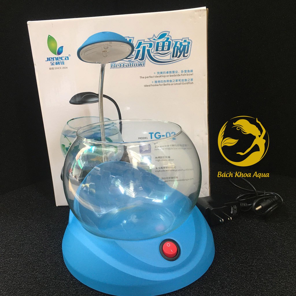 Hồ Jeneca TG-02 BKA