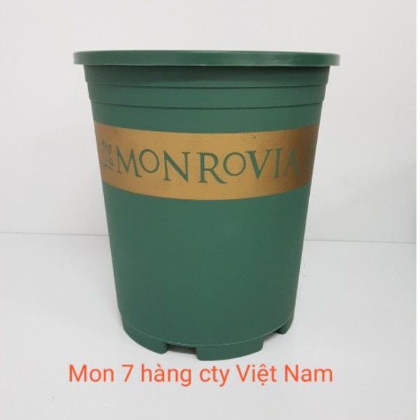 Chậu Monrovia 7Gl trồng hoa-trồng cây cảnh các loại