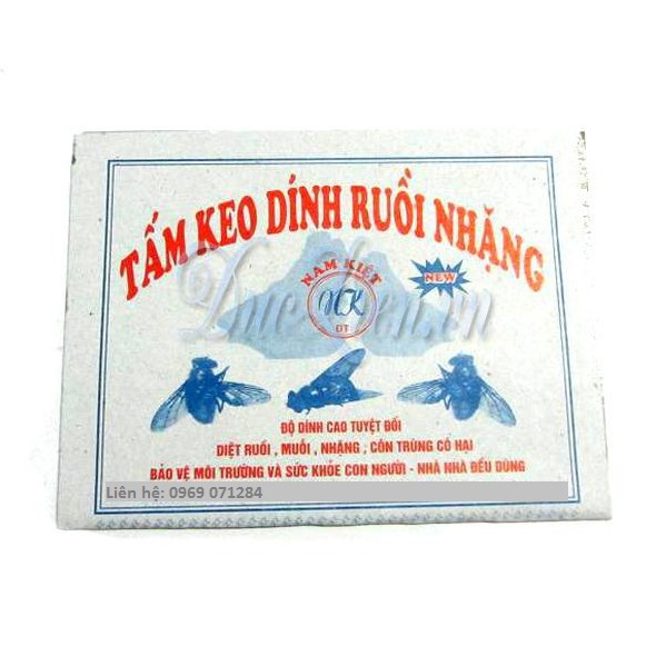 10 Tấm keo dính ruồi