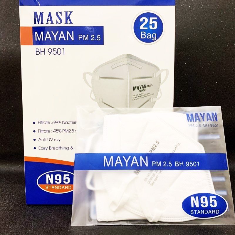 Khẩu Trang Mayan Kháng Khuẩn N95 PM 2.5 BH 9501 2 Cái
