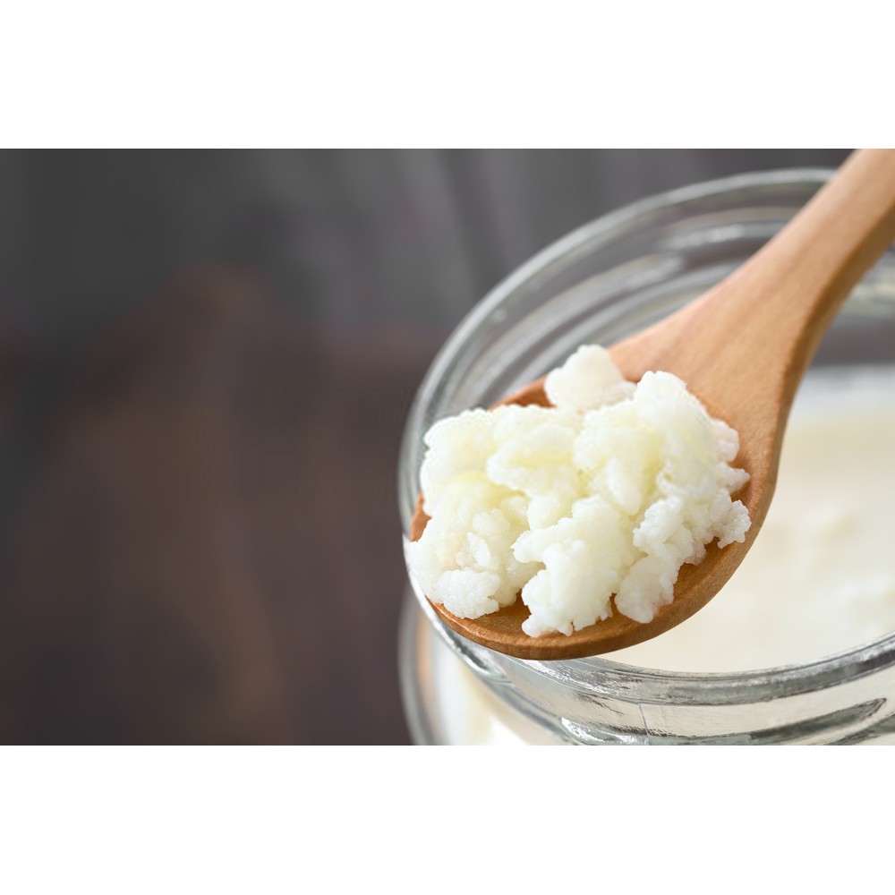 NẤM SỮA KEFIR - BẢO HÀNH, CAM KẾT NUÔI THÀNH CÔNG [GIÁ RẺ VÔ ĐỊCH]