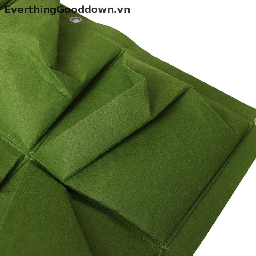 Túi Trồng Cây Treo Tường Dạng Đứng Màu Xanh Lá
