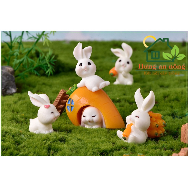TT01 - Mô hình GIA ĐÌNH THỎ 02 trang trí tiểu cảnh sen đá xương rồng cây để bàn
