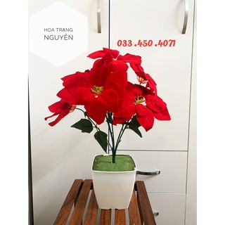 Hoa trạng nguyên giả decor