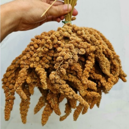 Kê chùm cho vẹt, chuột gói 500g/1000g