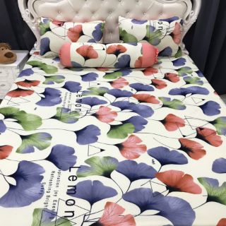 Drap thun hàn quốc