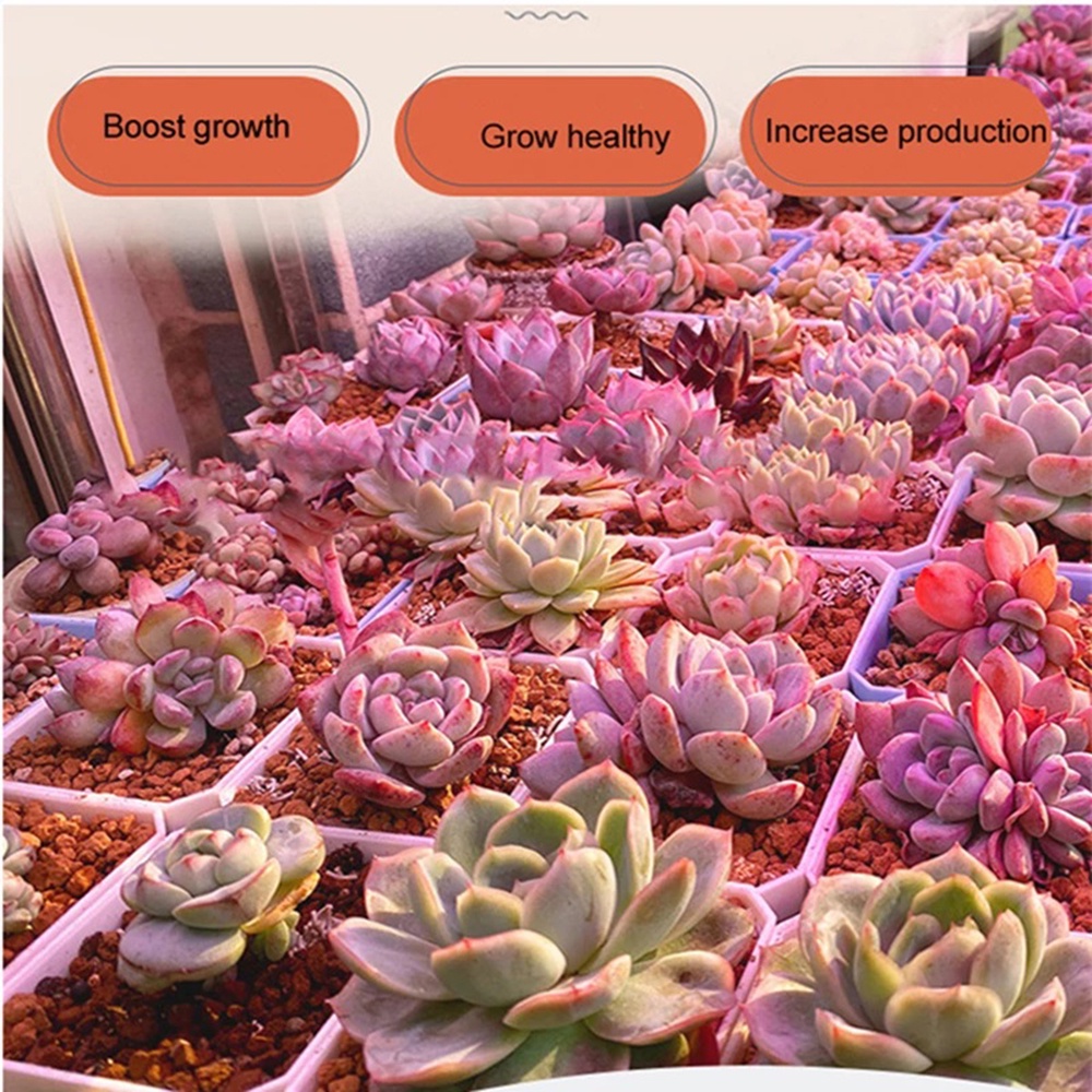 Đèn LED Trồng Cây Năng Lượng Mặt Trời 200W