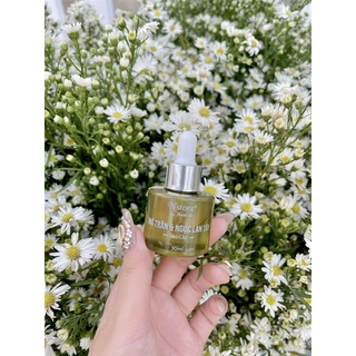 SERUM Mỡ Trăn Ngọc Lan Tây