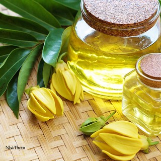 TINH DẦU NGỌC LAN TÂY (Ylang Ylang Oil) 50ml