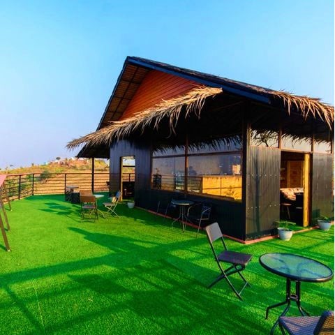 Thảm cỏ nhân tạo 1cm xanh non - Chuyên trải sân vườn trang trí nhà | Cỏ nhân tạo SG