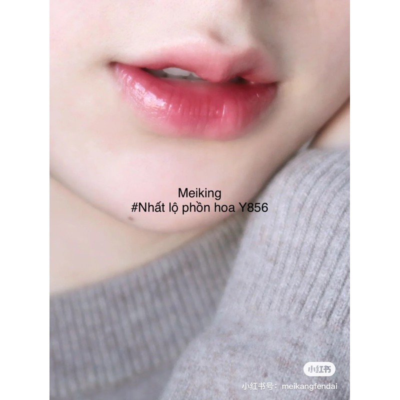 Có sẵn - son kem lỳ son bóng dòng son Nhược Thuỷ Meiking Braze lip glaze