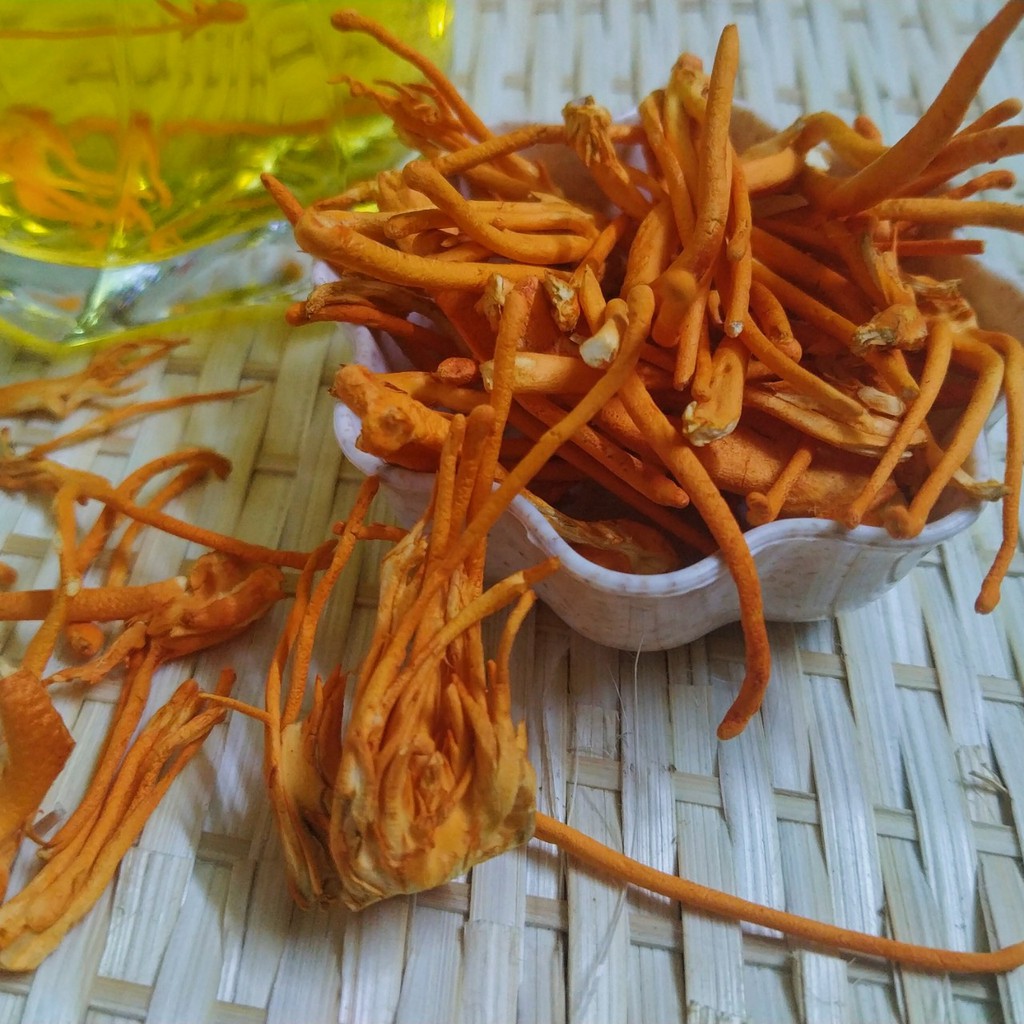 Nấm đông trùng hạ thảo khô - Đông trùng hạ thảo sấy thăng hoa