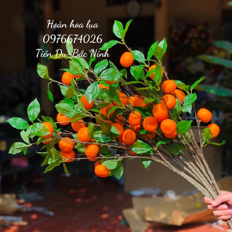 Cành quýt loại 1 cành 80cm 8 quả, vỏ sần giống thật 100%, hàng cam kết chuẩn đẹp