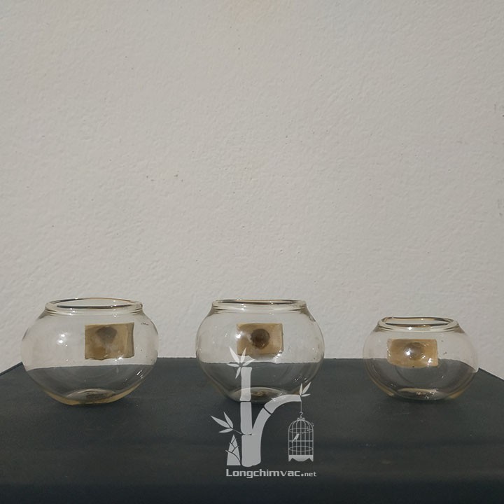 Cóng thủy tinh cho chim cảnh (lồng chim chào mào)