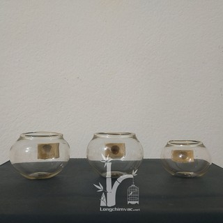 Cóng thủy tinh cho chim cảnh (lồng chim chào mào)