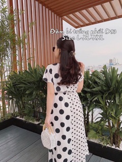 Đầm chấm bi bigsize