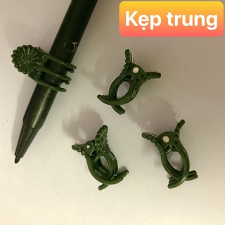 Kẹp bướm cố định hoa lan