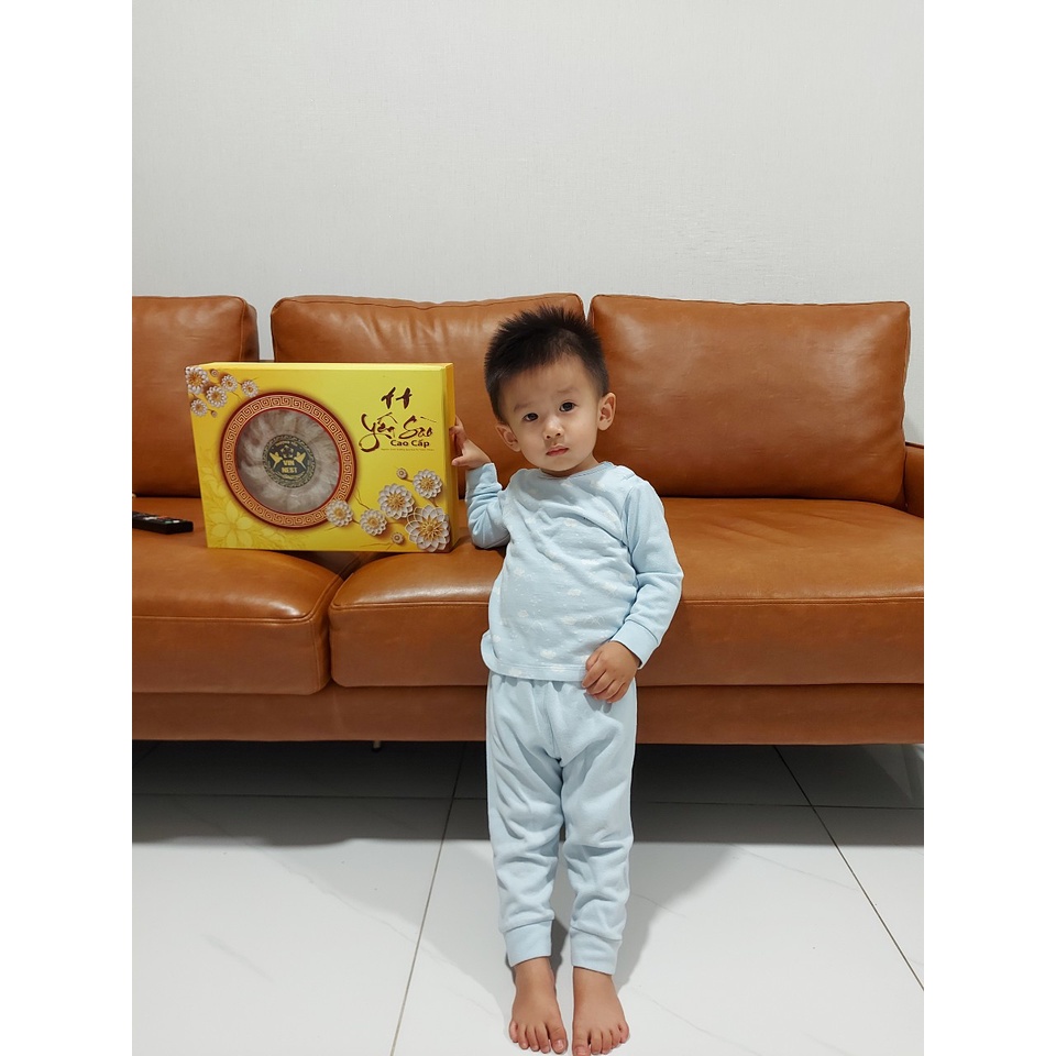 (HÀNG CÔNG TY) YẾN MẢNH TINH CHẾ NGUYÊN CHẤT -  YẾN SÀO VIN NEST | BigBuy360 - bigbuy360.vn