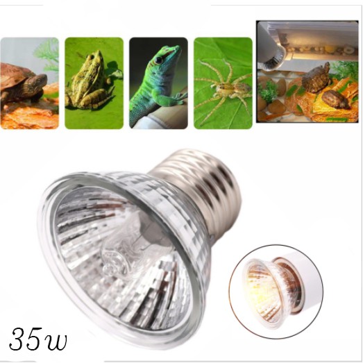 Đèn và kẹp đèn sưởi cho rùa và bò sát, tia UVA UVB, kẹp dài có nút xoay điều chỉnh