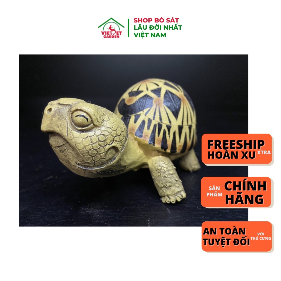 Rùa nhựa trang trí bể bò sát, thú cưng. Trang trí bài biện nhà cửa gia đình - Vietpetgarden