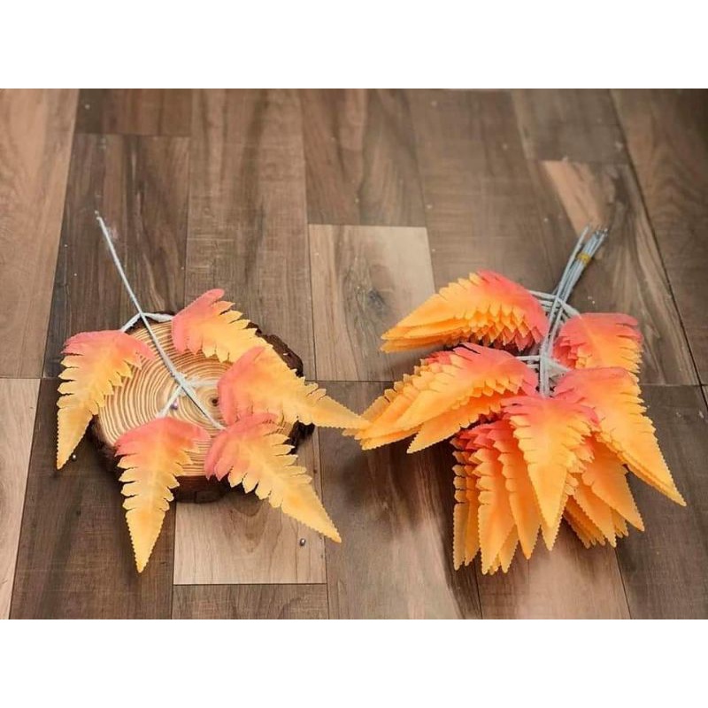 Lá dương sỉ nhỏ trang trí