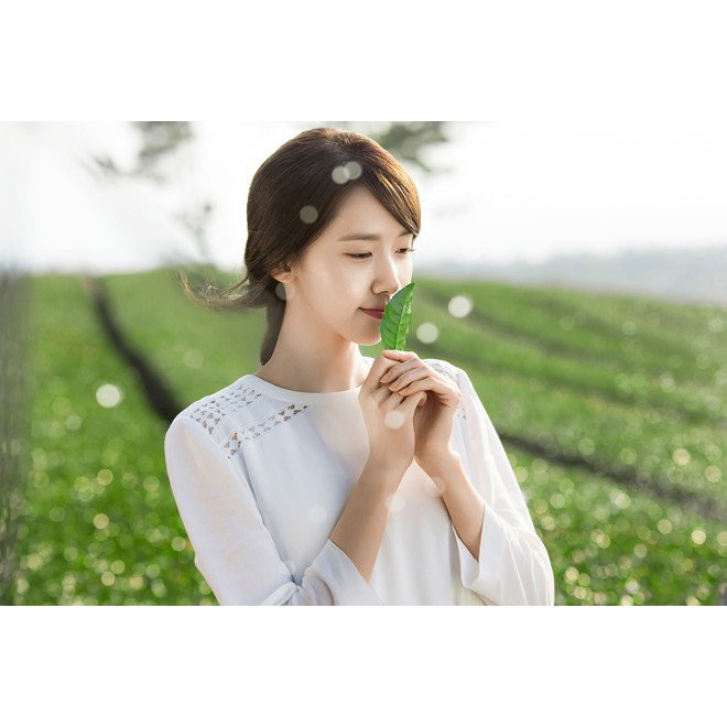 Xịt khoáng trà xanh Innisfree GREEN TEA MIST