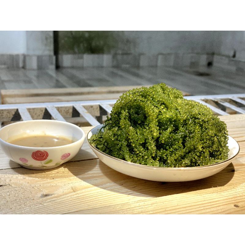 Rong Nho Tách Nước Công Nghệ Nhật Bản 100G + Khuyến Mãi 1 Gói Mè Rang 15ml