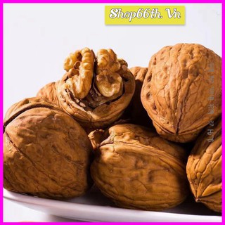 500G quả óc chó khô Size to❤Đủ cân❤ Hạt óc chó nếp vàng khô Tây Bắc Chất lượng cao