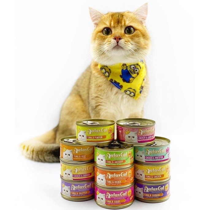 Pate Aatas Cat cá ngừ cho mèo dạng thạch _ Tantalizing Tuna