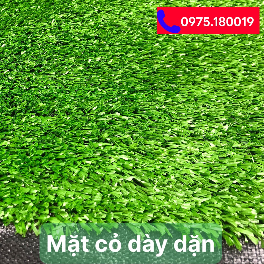 THẢM CỎ NHÂN TẠO SÂN VƯỜN 1CM GIÁ RẺ TPHCM ✅ | CỎ NHÂN TẠO SG