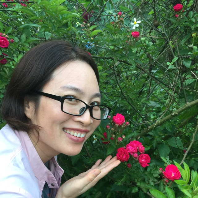 vn3933_09022