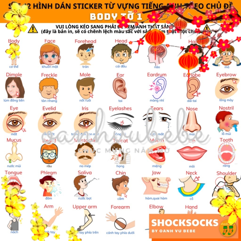 🔥42 hình dán sticker từ vựng tiếng Anh chủ đề BODY🔥