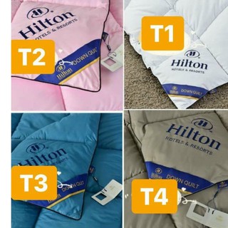 Ruột chăn lông vũ Hinton hàng nhập khẩu cao cấp